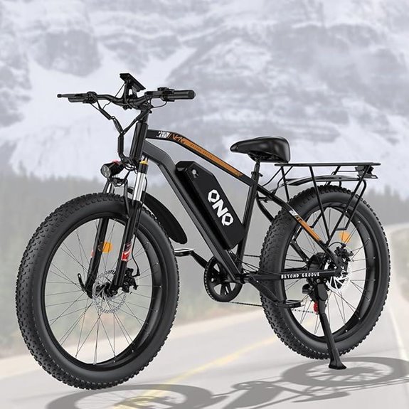 1500w fat tire bike