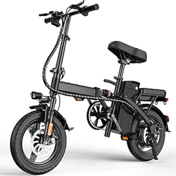 Electric Bike for Adults & Teens with 750W Motor