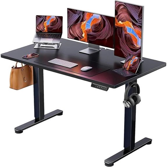 ErGear Adjustable Electric Sit-Stand Desk (Black)