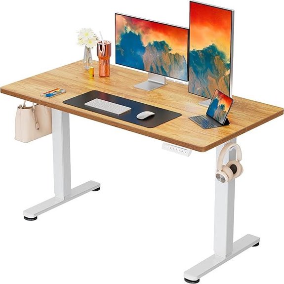 ErGear Adjustable Electric Sit-Stand Desk 48x24 Inches