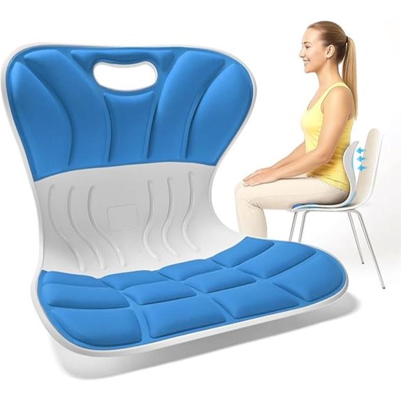 Ergonomic Lumbar Back Support for Office & Home