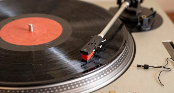 damaging vinyl through setup