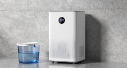 dehumidifier capacity explanation