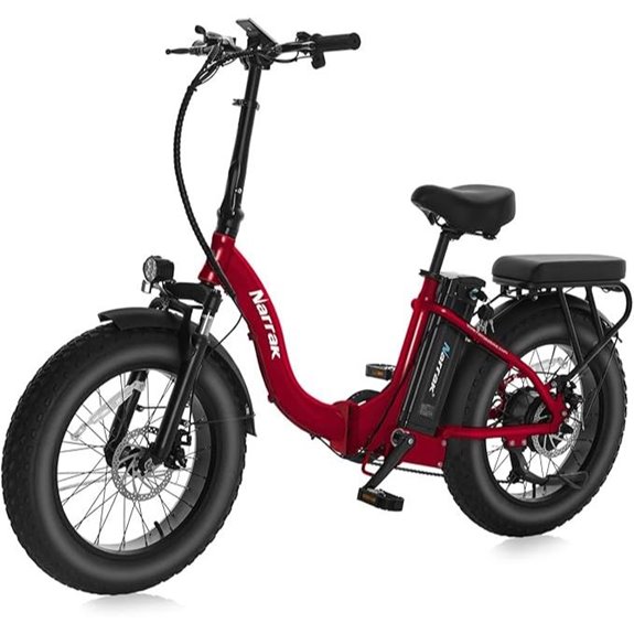 Fat Tire Electric Bike with Removable Battery