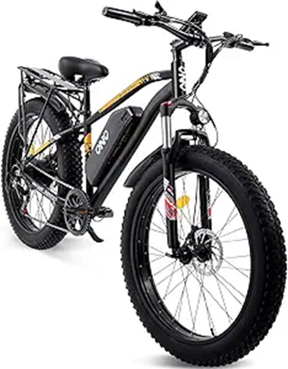 electric fat tire bike