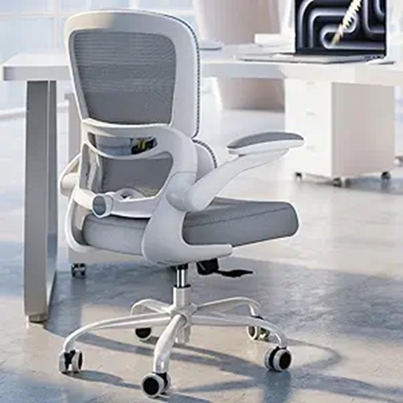 ergonomic mesh lumbar support