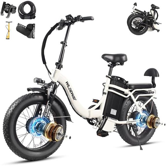 Wildeway 2000W Dual Motor Electric Bike with Long Range