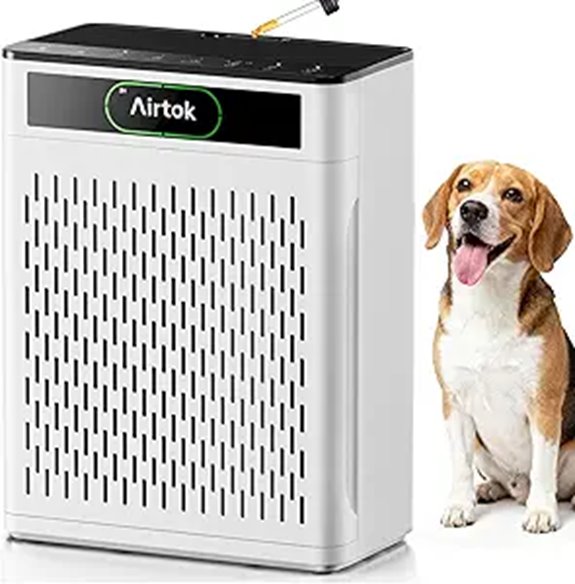 Airtok Large Room Air Purifier for Home