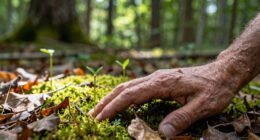 overcoming shame after relapse