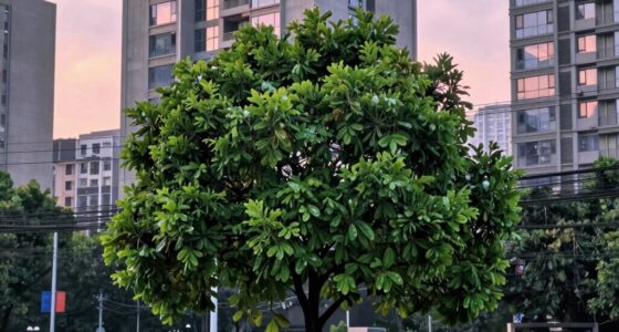 reset environment transform everything