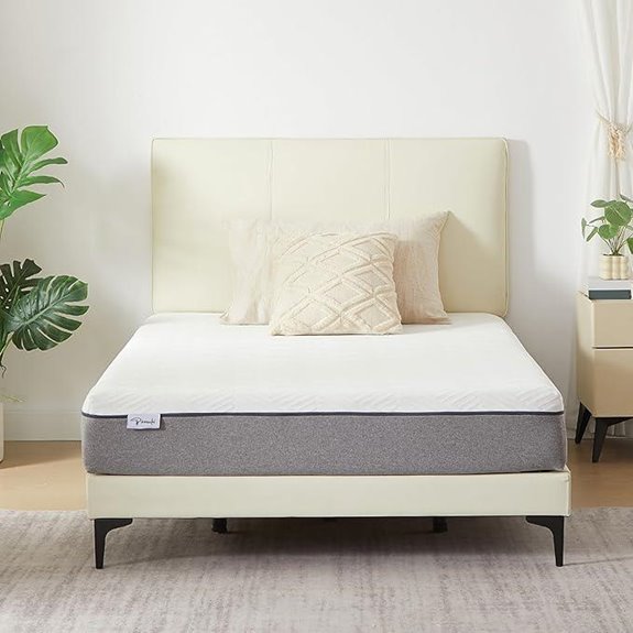Twin 10-Inch Memory Foam Mattress with Removable Cover