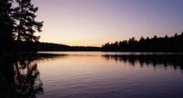 evenings influence future quietly