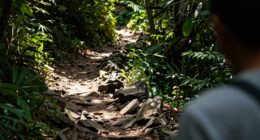 identify and avoid binary choices