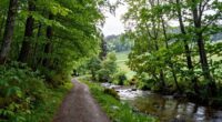 supportive environment for decisions