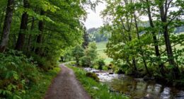 supportive environment for decisions