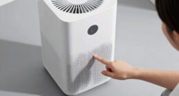 8 Best Best Air Purifier For Allergies Large Room In 2026
