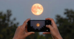 Look up Monday evening for the full strawberry moon