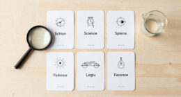 14 Best Science Reference Flashcards in 2026