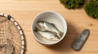 Hunter-gatherers Introduced Fish To A Mountain Lake 7000 Years Ago