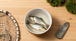 Hunter-gatherers Introduced Fish To A Mountain Lake 7000 Years Ago