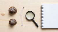 Snails' teeth beats spider silk as nature's strongest material (2015)