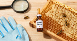 Spider Venom Kills Varroa Mites Without Harming Honeybees