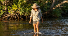 Woman Wading in Florida River Dies After Being Bitten by Alligator