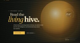 The Comb Works — Bees, decoded (FABLE/175)