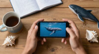 Cetacean Specialist Group Surges In Global Coverage