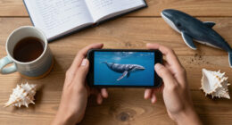 Cetacean Specialist Group Surges In Global Coverage