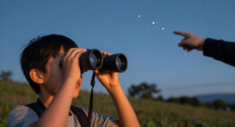 7 Best Stargazing Binoculars for Beginners in 2027