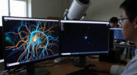 APOD: 2026 October 25 – Dark Matter In A Simulated Universe